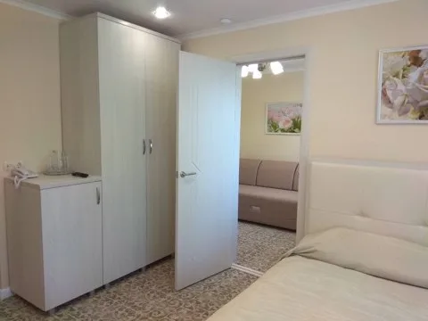 Двухкомнатный Семейный (Главный корпус) — фото 3